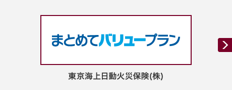 まとめてバリュープラン